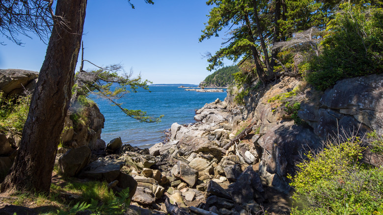 Larrabee State Park in Washington