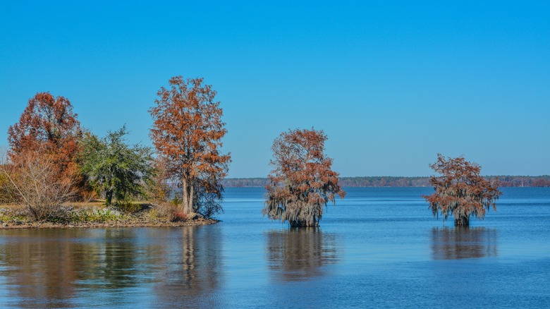 Lake Marion in South Carolina