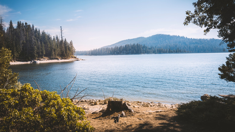 picture of Pinecrest lake during non winter month