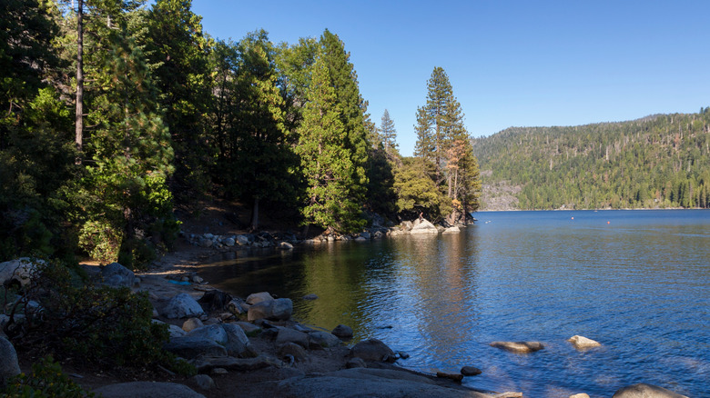 a shot of Pinecrest Lake in Stanislaus National Forest