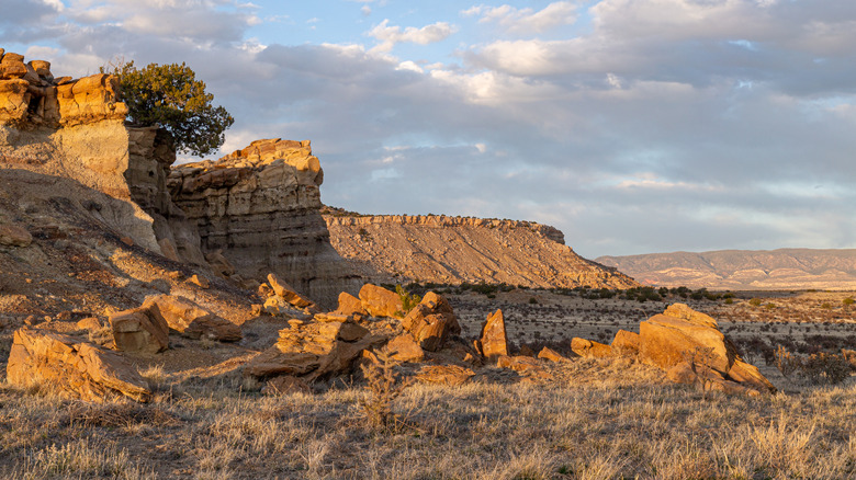 New Mexico views from the Continental Divide National Scenic Trail