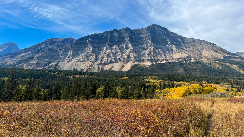 A view from the Continental Divide National Scenic Trail in Montana