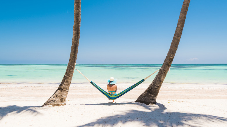 A hammock hangs between trees on the beach