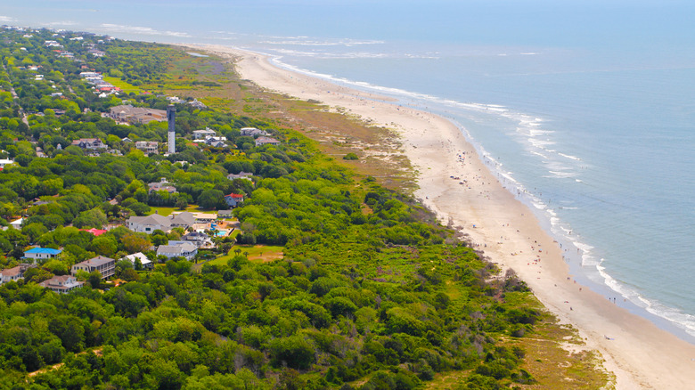 Aerial view of beach and forest