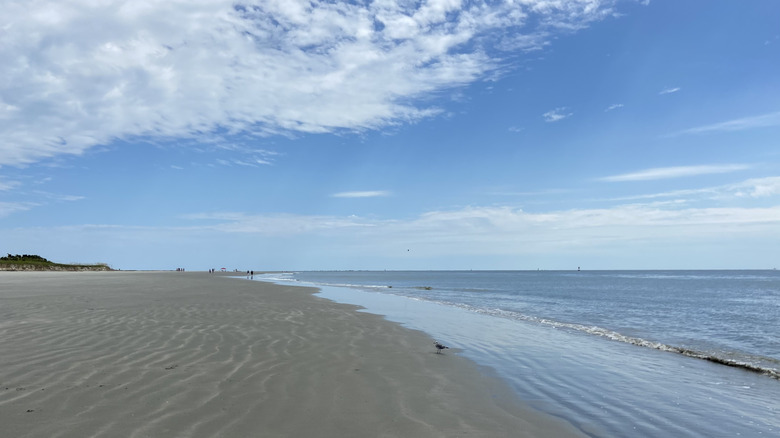 Wide panorama of sandy beach