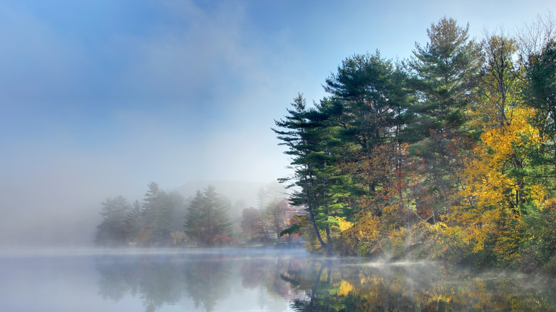 Scenic lake and forest near Keene, NH