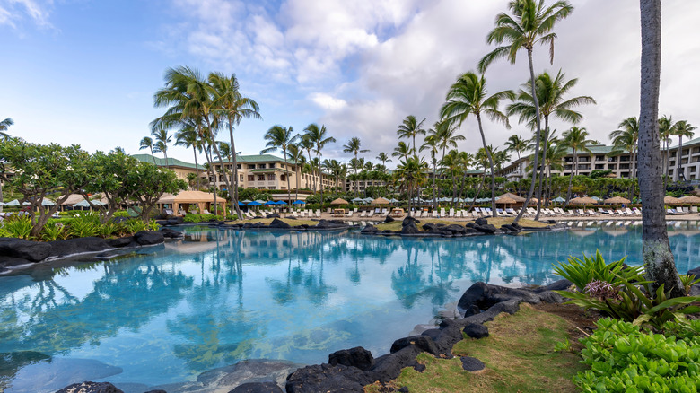 pool, palm trees near resort