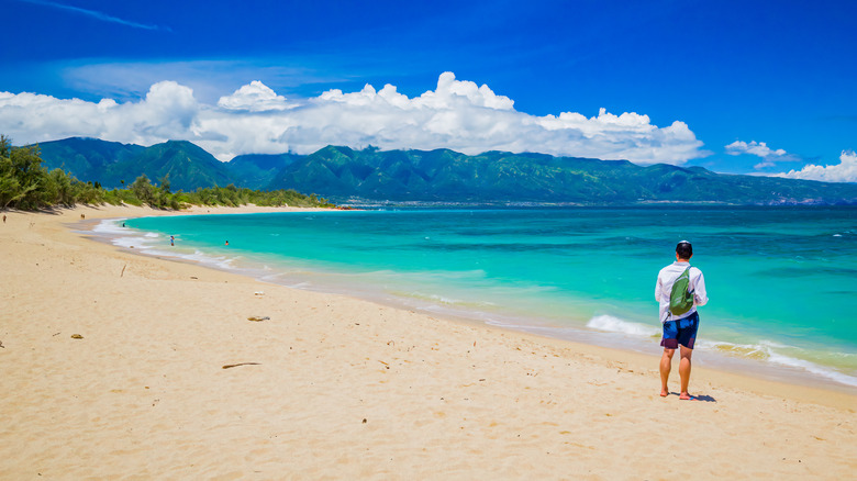 sunny Baldwin Beach