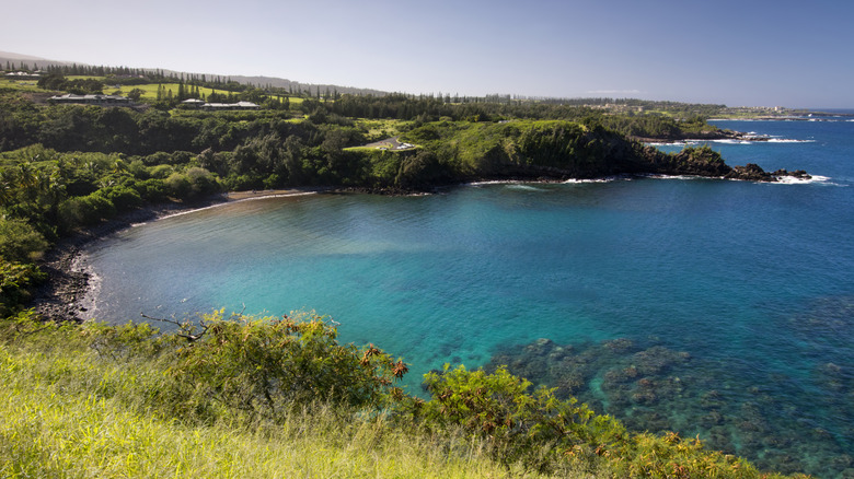 vibrant Honolua Bay Beach