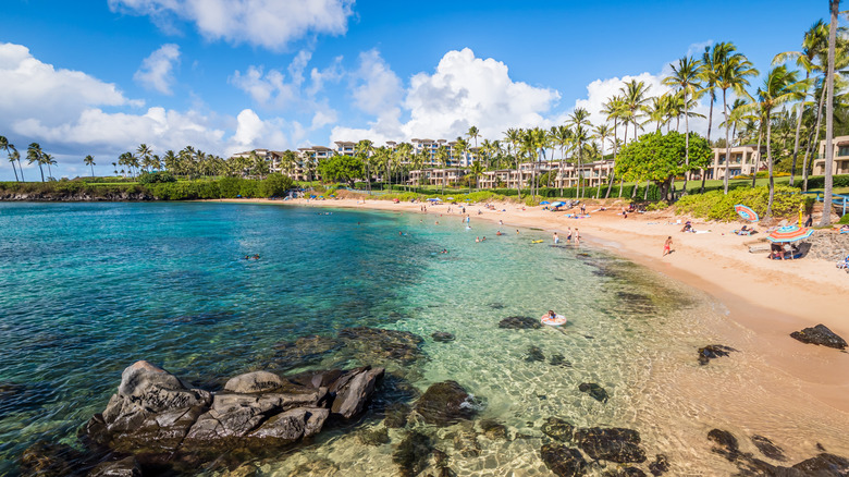 Kapalua Bay Beach's clear waters