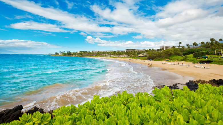 blue ocean at Wailea Beach