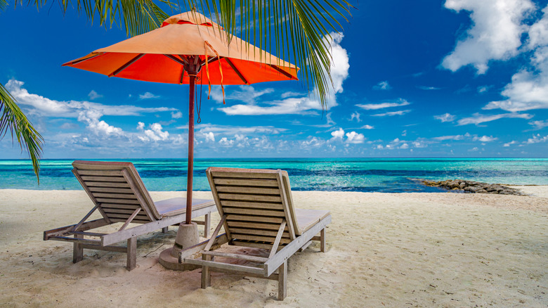 chairs and umbrella on beach