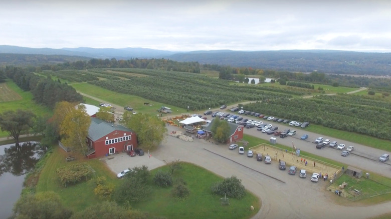 Alyson't Orchard aerial view