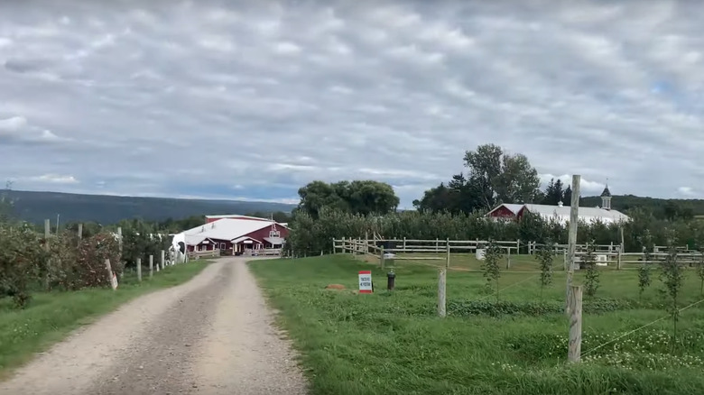 Beak & Skiff orchards