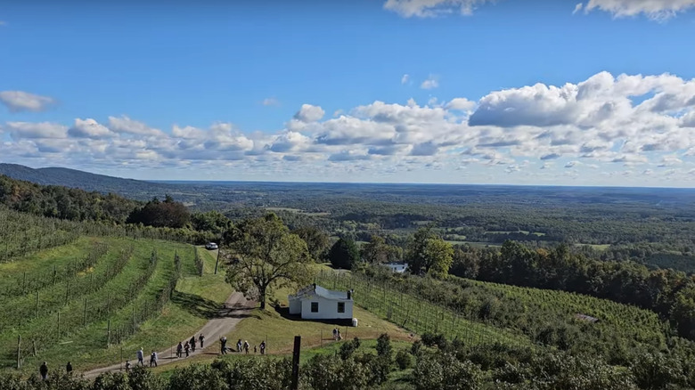 Views from Carter Mountain Orchard