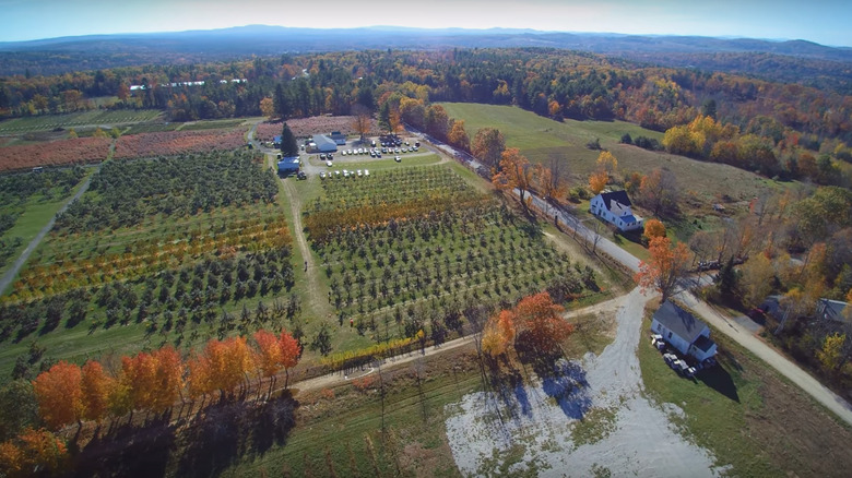 Libby & Son U-Picks orchards