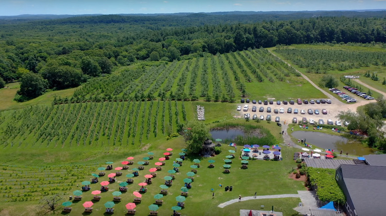 Nashoba Valley Winery aerial view