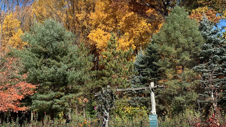 Flower garden at Solebury Orchards