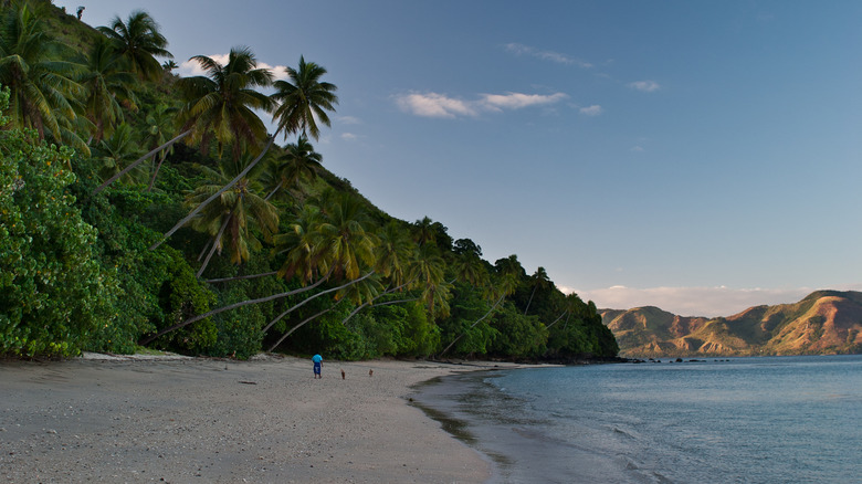 Beach on Kadavu island, Fiji