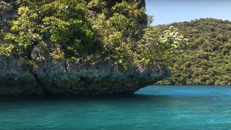 Coastline of Vanau Balavu, Fiji