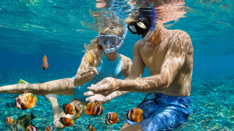 Snorkeling in Jamaica