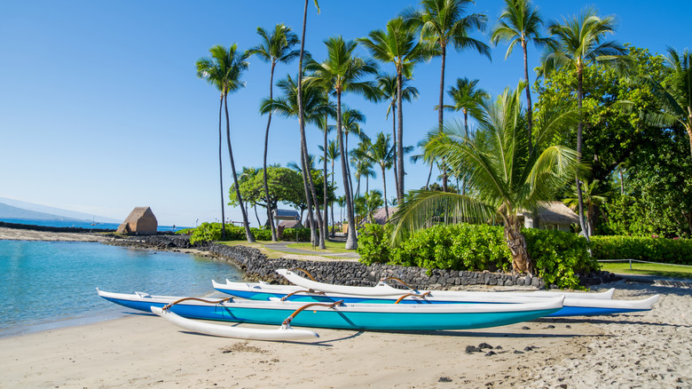 boats on Hawaiian beach