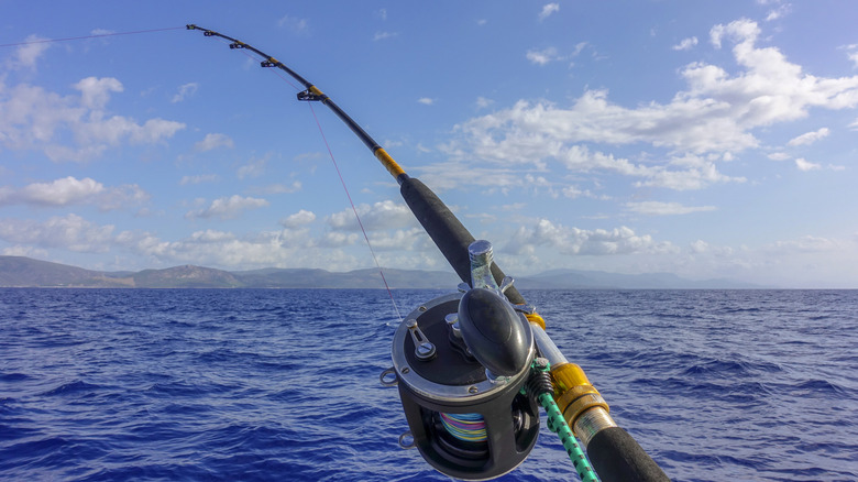 fishing rod near ocean