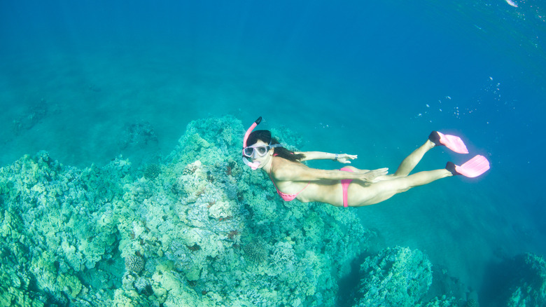 woman snorkeling in pink gear