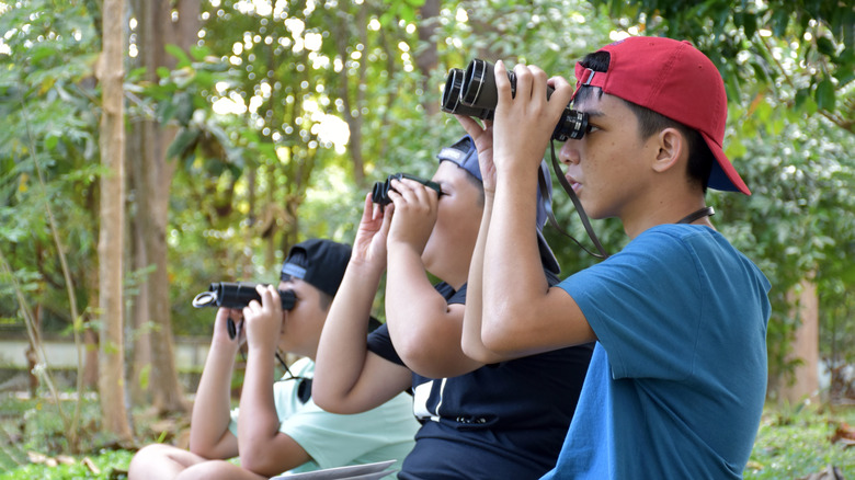 people birdwatching with binoculars