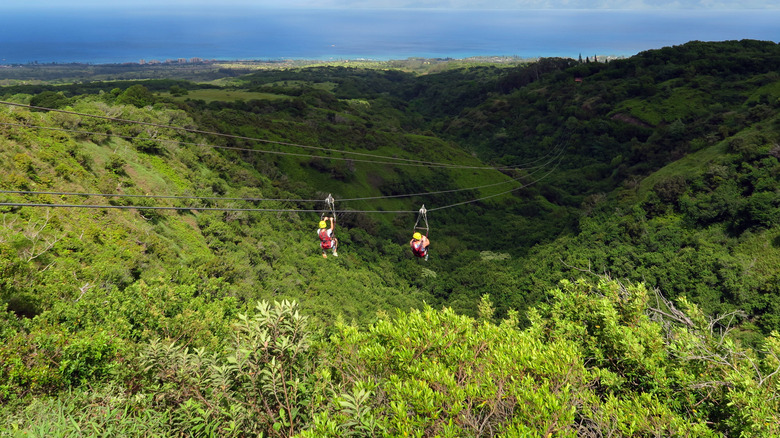 two people zip-lining