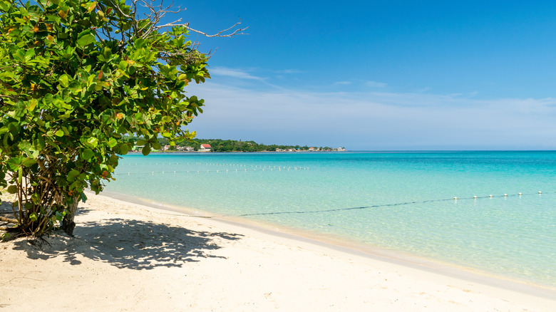 Negril beach