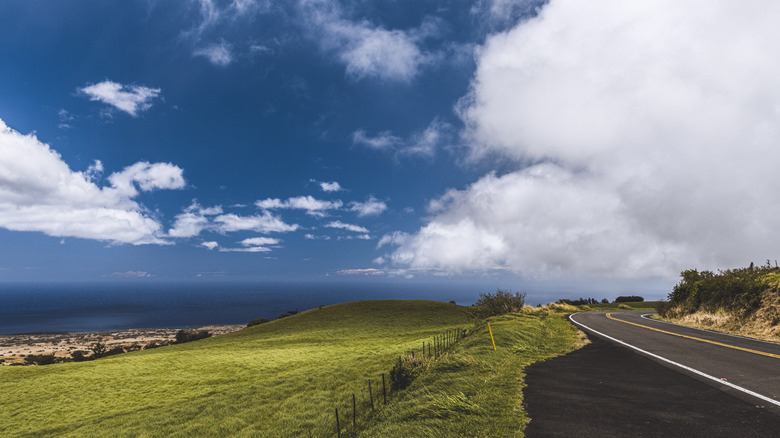 Panoramic view of road