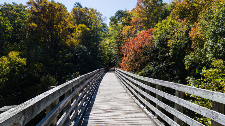 trestle on the Virginia Creeper Trail