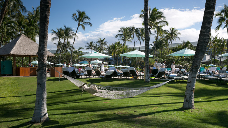 Hammock at Fairmont Orchid Hawaii