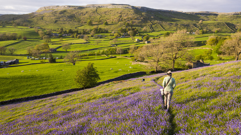 Walking through the Yorkshire Dales, England