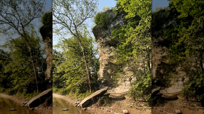 View from below Hanging Rock National Natural Landmark