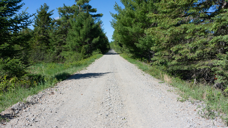 Down East Sunrise Trail wilds