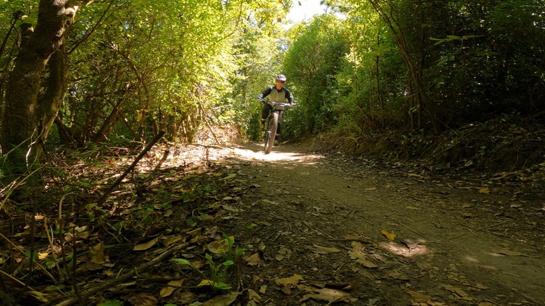 Biker on Great Lake Trails