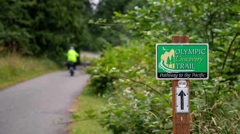 Cyclist on Olympic Discovery Trail