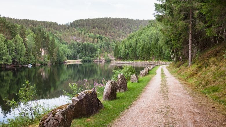 Cycling route on Telemark Canal