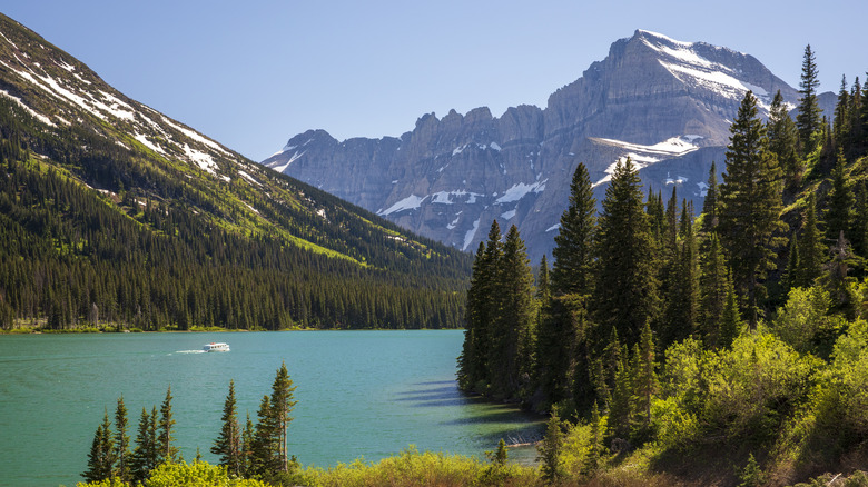 Glacier National Park boat lake