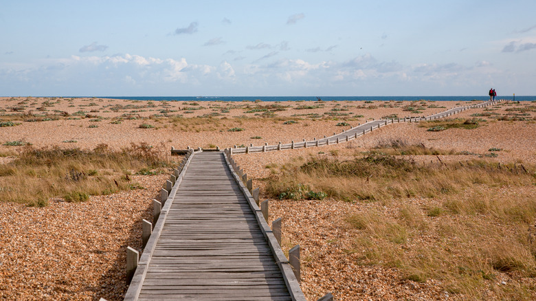 Desolate shingle landscape with decked path