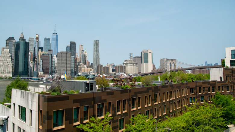 View overlooking the 1 Hotel Brooklyn Bridge to the Manhattan skyline