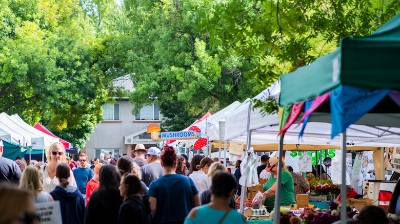 Lively farmers market in Chico, California