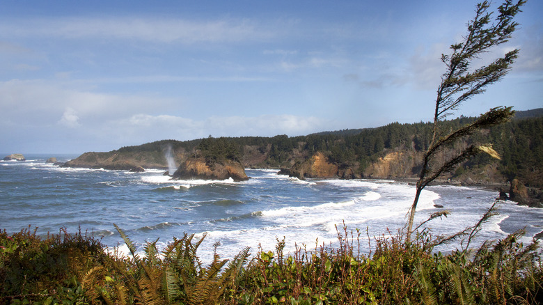 The sunny coastline of Humboldt County in Northern California