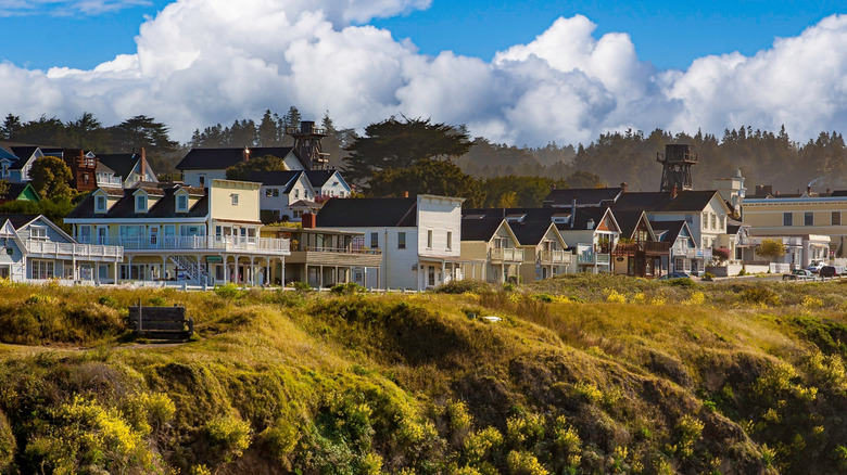 View of Mendocino village among the clifftops