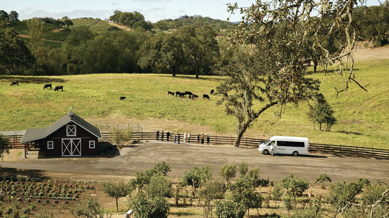 An aerial view of a cattle field on the Jordan Estate