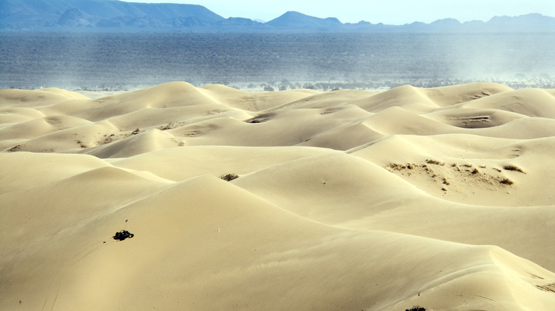 Dune buggies driving across California's Imperial Sand Dunes (AKA the Alogdones Dunes)