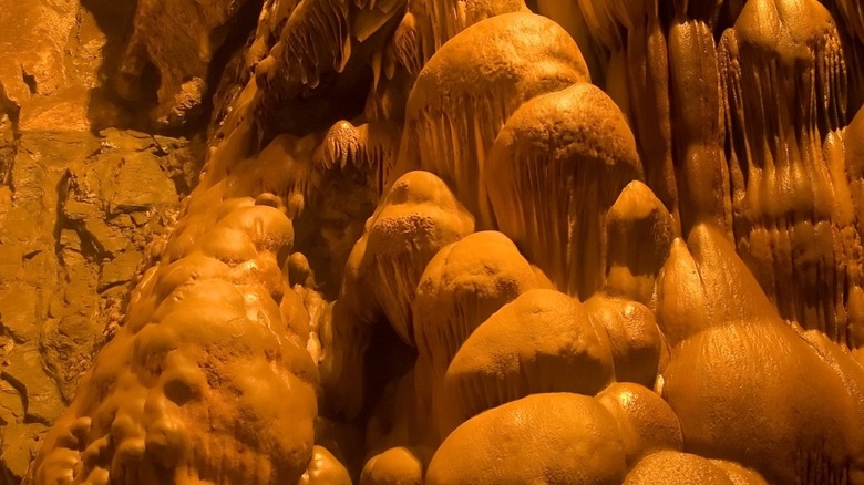 Stalagmites resembling mushrooms decorate the cave walls