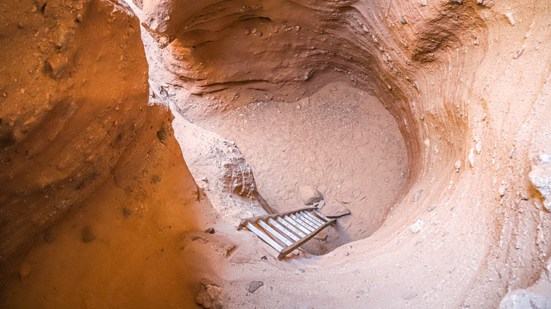 One of the ladders at the Ladder Canyon Trail